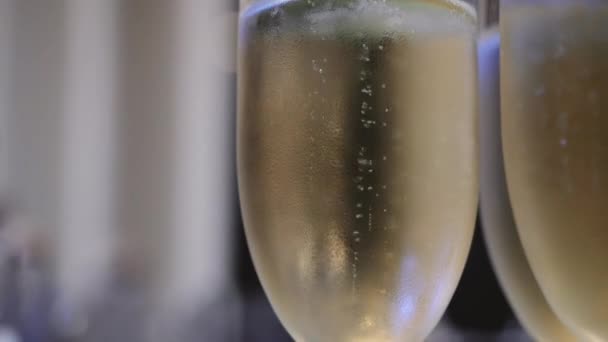 Пузыри в бокалах шампанского — стоковое видео