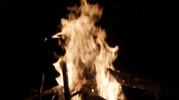 Luminoso incendio en el bosque . — Vídeos de Stock