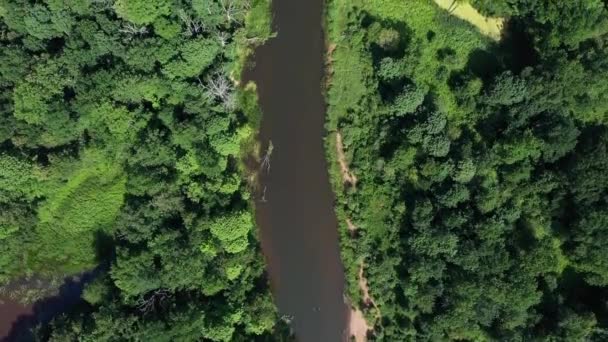 Vue imprenable depuis la hauteur au-dessus de la rivière . — Video