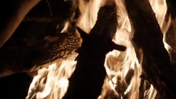 Brûlant feu dans la forêt .