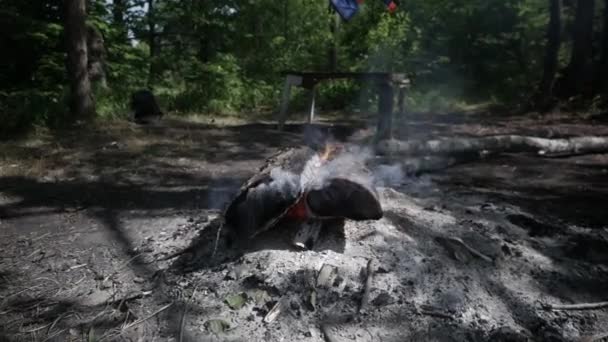 Embers du feu dans la nature — Video