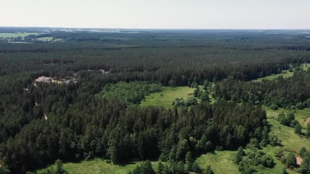 La caméra survole une forêt pittoresque — Video