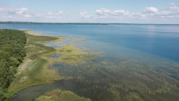 Video drone aereo su un fondale naturale in mezzo al lago — Video Stock
