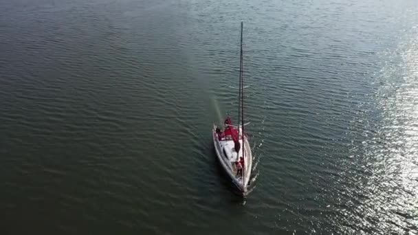 La telecamera vola lungo il fiume al culmine di un volo di uccelli — Video Stock