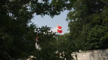 A colorful Danish flag is displayed in a lush green setting, surrounded by trees and a clear blue sky