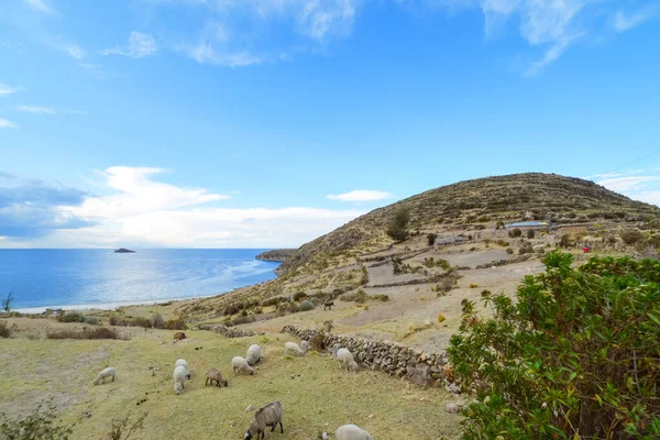 Isla del Sol, Titicaca Gölü, Bolivya