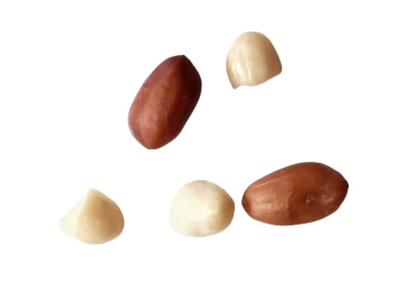 beyaz arkaplanda izole edilmiş yerfıstıkları