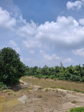 Bereketli Yeşillik ve Gökyüzü ile Serene Riverbank Manzarası