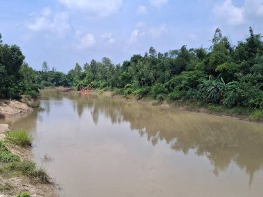 Berrak Mavi Gökyüzü Altında Berrak Yeşil Ormanda Süzülen Huzurlu Nehir Huzurlu Doğa Manzarası