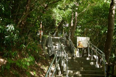 Jeju Adası 'ndaki Sanbangsan Bomunsa Tapınağı' na giden gölgeli bir orman yoluna çıkan tırabzanlarla kaplı taş merdiven..