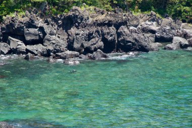 Koyu bazalt oluşumları Daepo Jusangjeolli Kayalıkları 'nda kıyı şeridinde dalgaların kayalara vurduğu ve çam ağaçlarının kıyı şeridi boyunca yoğun durduğu yerde..