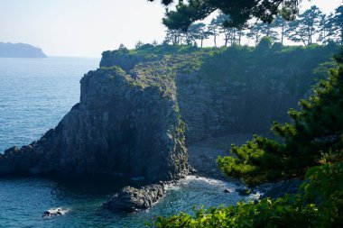 Bazalt kayalıkları ve çam ağaçları Oedolgae yakınlarındaki engebeli kıyı şeridini çerçeveliyor, burada bir cep plajı ve koy burnun altında bulunuyor..