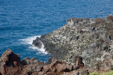 Daepo Jusangjeolli Uçurumunun bir bölümü Seogwipo 'daki denize doğru uzanan yıpranmış bazalt sütunları ve kayaları gösteriyor..