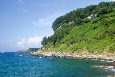 Seogwipo yakınlarındaki yeşil bir sahil uçurumu kayalık plajlara ve berrak sulara dökülüyor, ormanlık yamaçlar ve uzak burunlara doğru sürüklenen katmanlı kaya çıkıntıları ile.