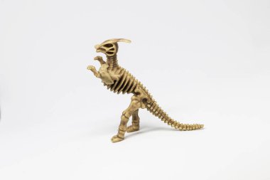 Anatomi iskelet dinozor figürü izole edildi  