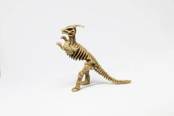 Figura Dinosaurio Esquelético Anatomía Aislada — Foto de Stock