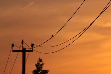 Güç hatları günbatımı gökyüzünün arka planında