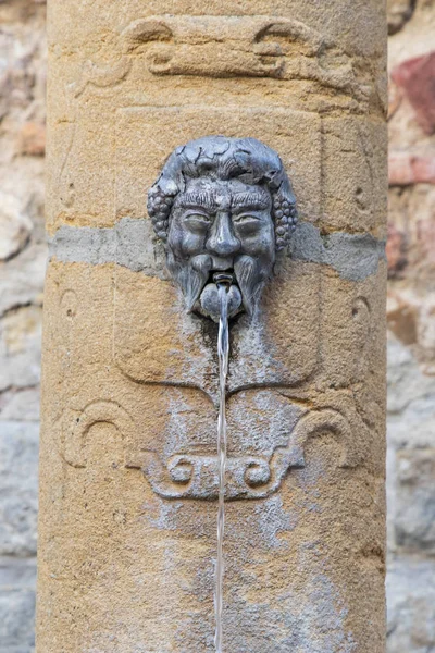 Sculpture of a man\'s head with grapes in Burgundy, France