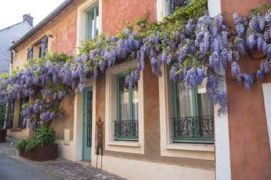 Fransa'da Chevreuse Vadisi'nde eski bir ortaçağ evin detayı