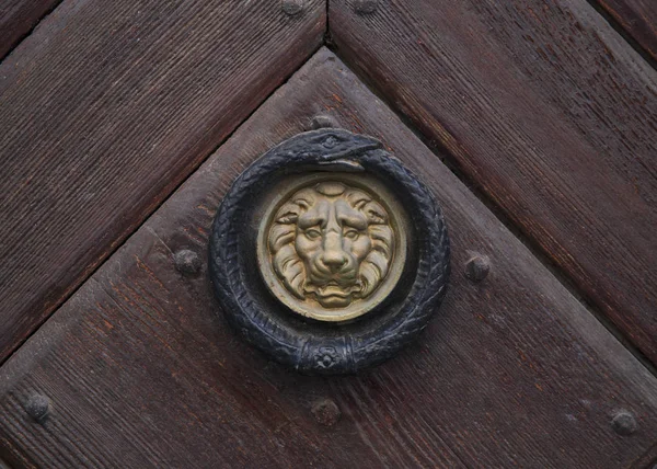 Бывший Стукач Голову Металлического Льва Деревянной Двери — стоковое фото