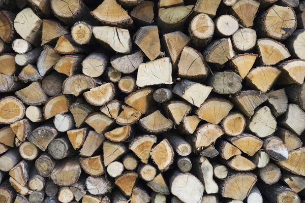 Background Stacked Logs Stored Fire Making — Stock Photo, Image