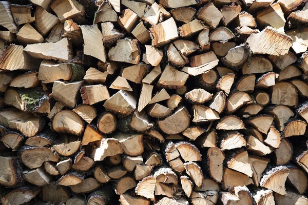 Background Cut Wood Pile — Stock Photo, Image