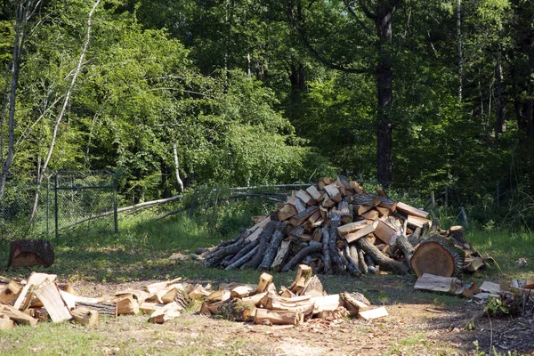 Pile Bois Coupé Dans Une Forêt — Photo