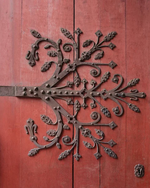 Detail Dřevěných Tepaných Železných Dveří Štrasburské Katedrály Francii — Stock fotografie
