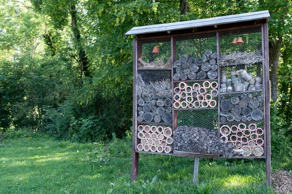 Maison Pour Insectes Dans Forêt — Photo