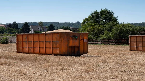 Cubo Transporte Para Granos Cereales Cosechados Campo — Foto de Stock