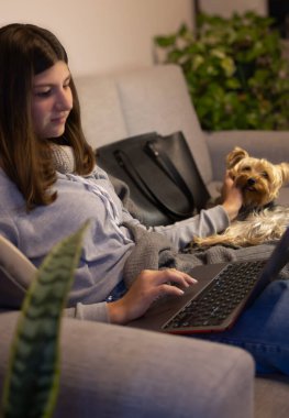 Student with her little Yorkshire terrier in the living room of her home. Warm, everyday scene of pets and their owners.Vertical format