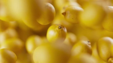 Bir grup limonun animasyonu. Birçok limon uzayda arka planda yavaşça döner. Yatay bileşim. Defoktus. Yakın plan..