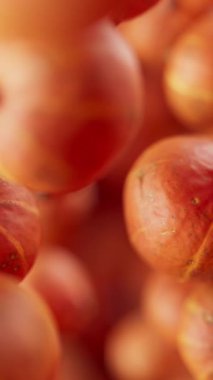 Bir grup balkabağı animasyonu. Birçok balkabağı uzayda arka planda yavaşça döner. Dikey kompozisyon. Defoktus. Yakın plan..