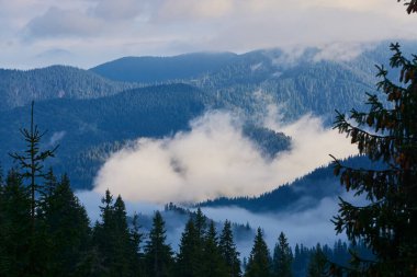 Sonbahar mevsiminde dağ manzarası. Güzel doğal sarı turuncu boya doğası. Dağların tepelerinde hafif sisli bir gün.