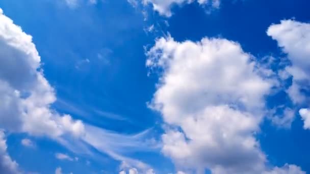 Awan putih yang indah bergerak melintasi langit biru. Komposisi Time Laps bergerak. Latar belakang bagi pengaman video. — Stok Video