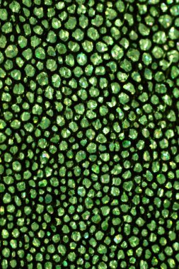 Güzel kabarcık Bokeh holografik arka plan