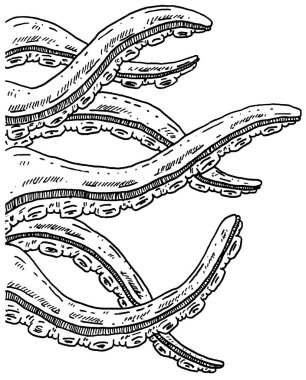 Kalem mürekkep vektör ahtapot canavar Tentacles el çekilmiş