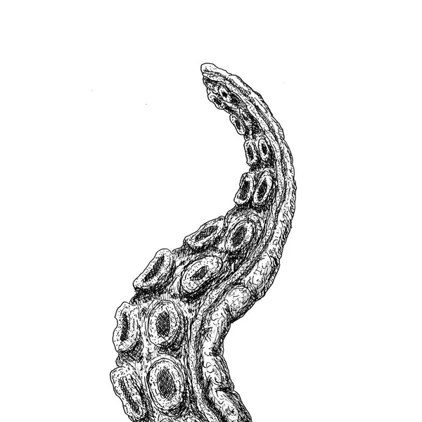 Tinta Pluma Dibujada Mano Vector Octopus Monster Tentacles — Vector de stock