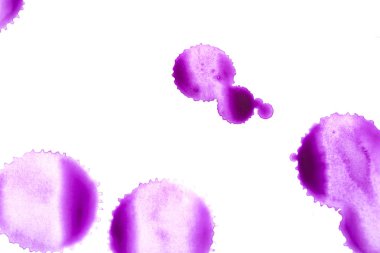 Beyaz arka plan üzerinde mor pembe suluboya boya uyarısı