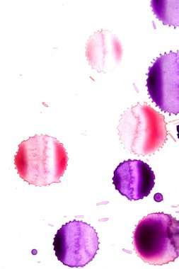 Beyaz arka plan üzerinde mor pembe suluboya boya uyarısı