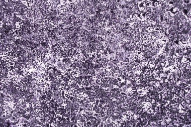 Mavi mor dokulu arka plan boya ve kağıt