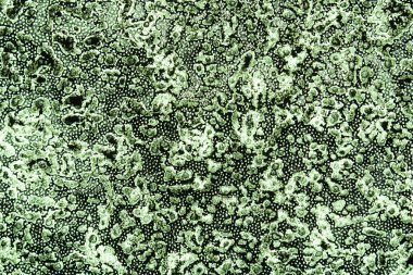 Yeşil soyut boya dokulu arka plan