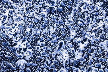 Mavi mor dokulu arka plan boya ve kağıt