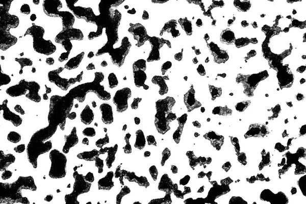 Black White Ink Splatters Spill Background — Stock Photo, Image