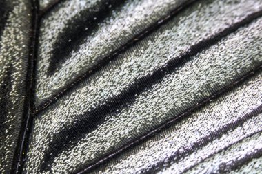 Bir Kelebek Kanadının Yakın Çekim Makrosu 