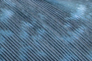 Siyah Arka Planda Renkli Ördek Tüyü Makro Yakın Çekim