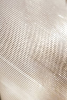 Siyah Arka Plan üzerinde Beyaz Tüy makro Close Up