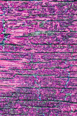 Ağır Yıpranmış ve Çatlak Boyalı Ahşap Kapının Kapatılması