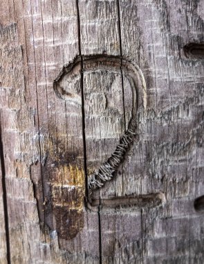 Sıkıntılı Durum Tipografisinde Yazılı Sözcükler 2 Numara Bulundu 