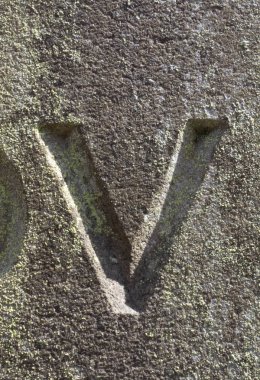 Sıkıntılı Durum Tipografisi ile Yazılan Sözcükler V Harfi Bulundu